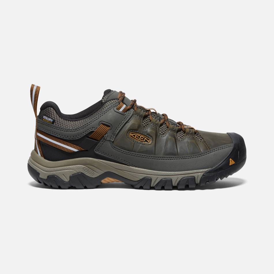 Black Olive-Golden Brown Men's Targhee III Waterproof Hiking Shoes Keen